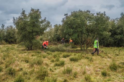 Chantier de restauration des pelouses calcaires réalisé par des élèves du lycée agricole de Saintes (crédit photo : A. orseau, LPO 2016)
