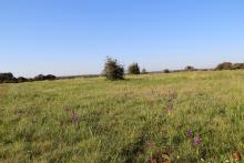 Plateau des Chaumes de Sèchebec (photo : Pauline DAVID)
