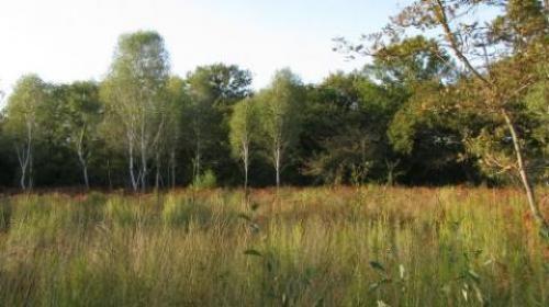 2012-10-22_parcelles_gripperie_lc02_0.jpg