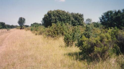 chaumes_de_sechebec_1995_3.jpg