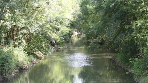 img_2182_petit.jpg
