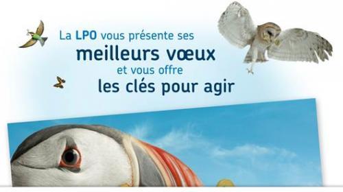 meilleurs_voeux.jpg