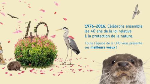 voeux2016lpo.jpg